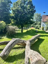 Kletterstamm und Wippe