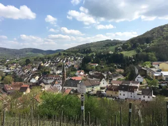 Blick auf Wolfstein, Frühjahr
