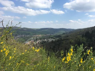 Blick auf Wolfstein vom Pfälzer Höhenweg