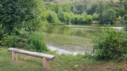 Winchendeller Weiher Merxheim