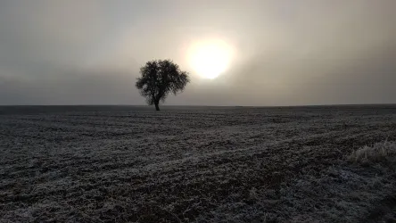 ein kalter Wintertag
