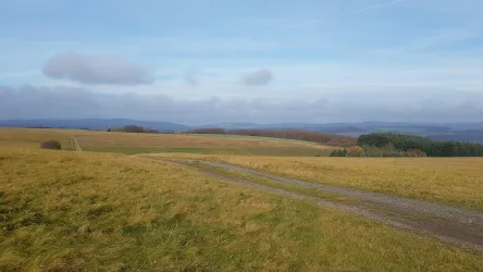 Auf der Meckenbacher Höhe