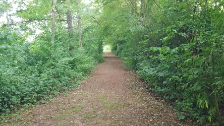 Wanderweg um den Weiher