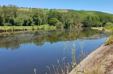 an der Nahe