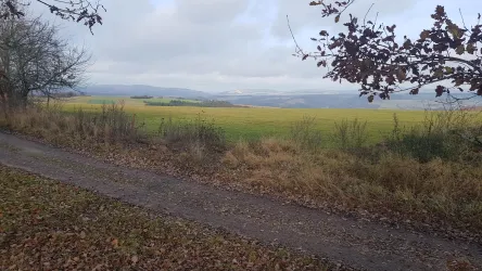 Schöne Wanderwege rund ums Dorf