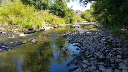 an der Nahe