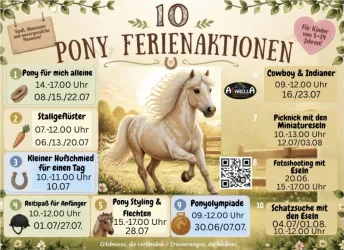 Ein bunt gestaltetes Plakat mit Informationen zu Pony- Freizeitaktivitäten für Kinder. Es zeigt ein Pony und listet verschiedene Veranstaltungen mit Terminen und Uhrzeiten auf.
