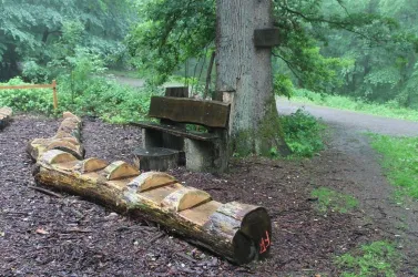 Rübezahlbank (© FVZV Pfälzer Bergland)