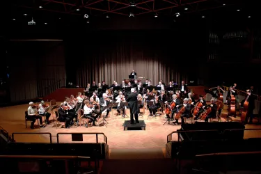 Westpfälzisches Sinfonieorchester (© Tesse Feuchtner)