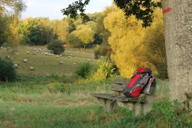 Preußensteig - Ruhebank (© FVZV Pfälzer Bergland)