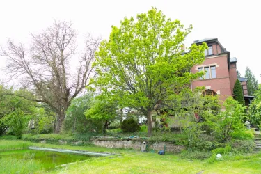 Hausansicht Garten