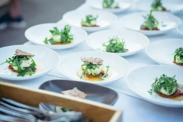 Ein elegantes Gericht besteht aus frischem Käse, Rucola und einer knusprigen Waffel auf einem bunten Teller. Die Speisen sind ansprechend angerichtet und zeigen eine schöne Präsentation.