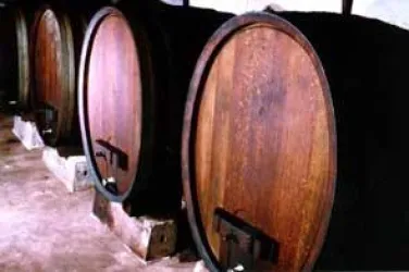 Faesser im Weinkeller (© Hotel-Weingut Spindler-Barth)