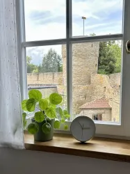 Zimmer Bürgerturm - Fensteraussicht (© Christoph Collet)