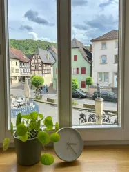 Zimmer Meisenbrunnen - Fensterblick (© Christoph Collet)