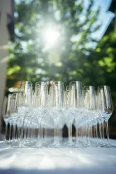 Eine Gruppe von eleganten Gläsern steht ordentlich auf einem Tisch. Im Hintergrund scheint die Sonne durch die Bäume.