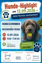 Ein Wettkampf für Hunde im Freibad von Meisenheim. Das Event findet am 13. September 2026 statt.