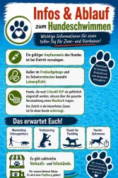 Ein informatives Plakat über das Hundeschwimmen mit wichtigen Hinweisen. Es beschreibt Anforderungen und Aktivitäten für einen Tag voller Spaß mit Hunden und deren Besitzern.