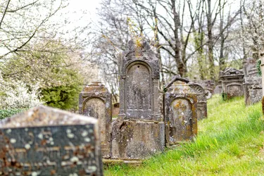 Eine ruhige Friedhofsszene mit alten Grabsteinen in einer grünen Wiese. Im Hintergrund sind blühende Bäume sichtbar.