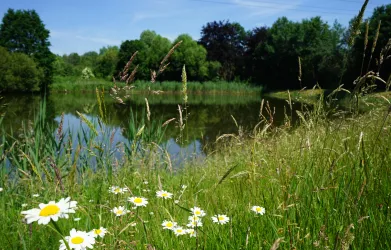 Angelweiher ASV Vogelbach