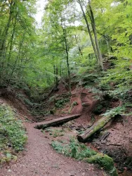 Elendsklamm Sagenhafter Waldpfad.