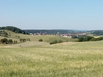 Landschaft um Katzweiler (© Sabine Kallenborn)