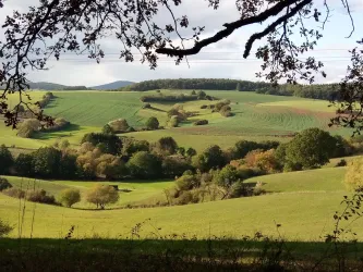 Landschaft Katzweiler (© Sabine Kallenborn)