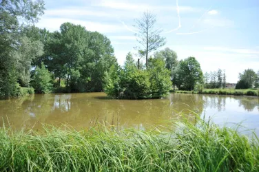 Weiher Katzweiler (© VG Otterbach-Otterberg)