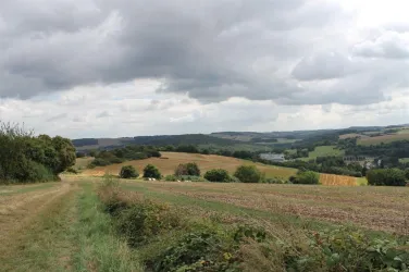 Blick in Richtung Kusel (© Julia Bingeser, FVZV Pfälzer Bergland)