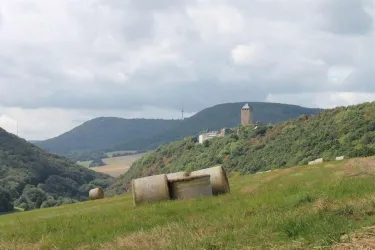 Burg Lichtenberg von der Höhe über Ruthweiler (© Julia Bingeser, FVZV Pfälzer Bergland)