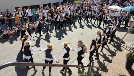 Lambsborn Straußbuwe