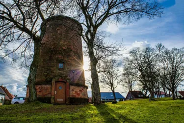 Ein alter runder Turm steht in einem grünen Park. Die Sonne scheint durch die Bäume und beleuchtet die Umgebung.