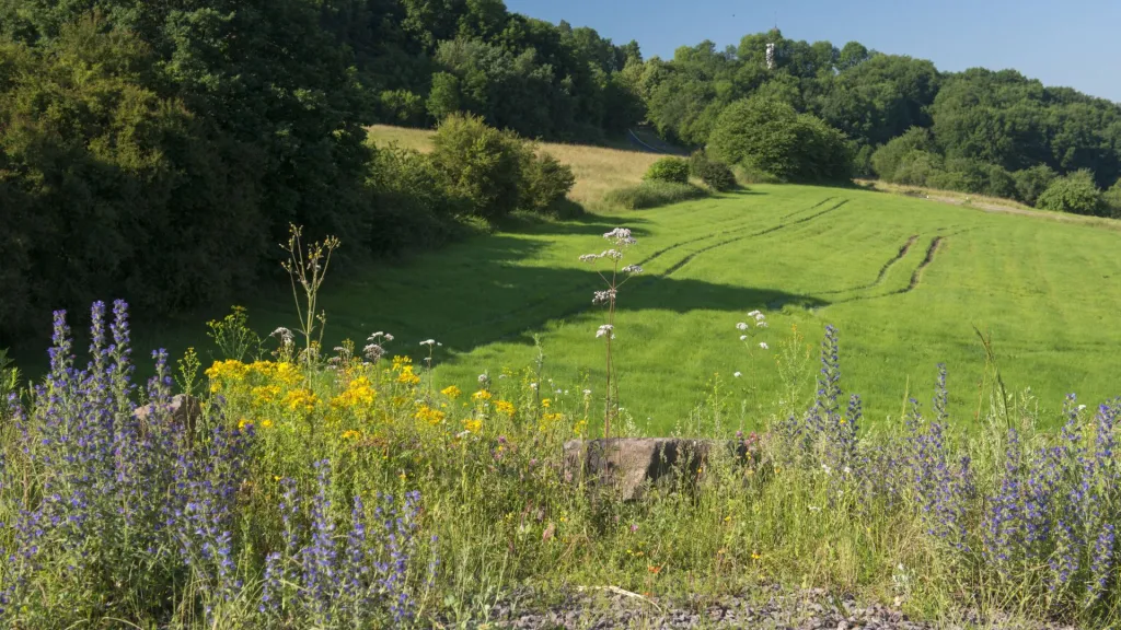 Wandern