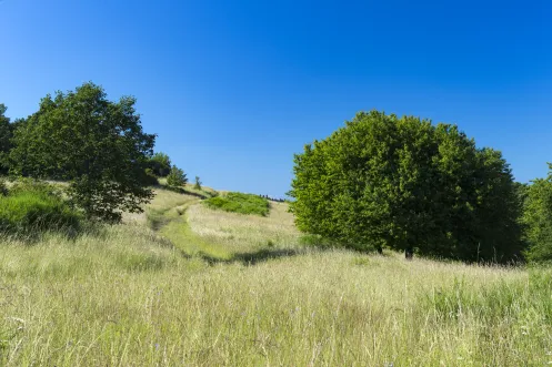 Veldenz Wanderweg