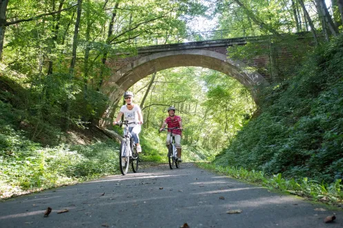 Pfälzer Land Radweg