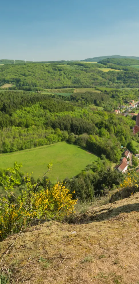 Veldenz Wanderweg