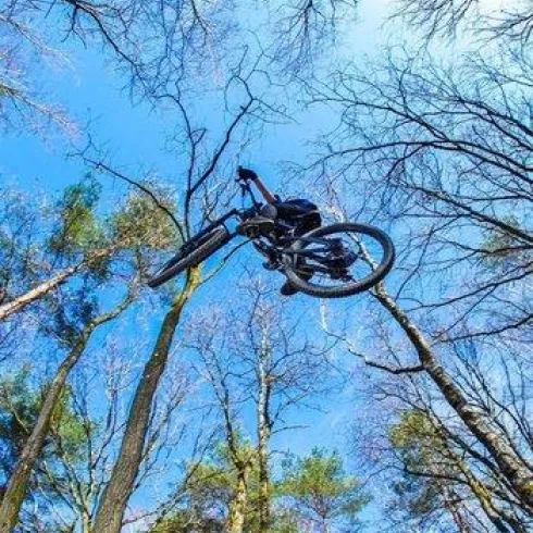 Ein Mountainbiker springt hoch über den Bäumen in einem Wald. Der Himmel ist blau und klar, mit wenigen Wolken.