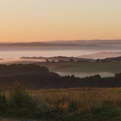 Landschaft Sulzbachtal