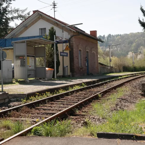 Ein verlassener Bahnhof mit Gleisen und einer kleinen Warteschutzhütte. Im Hintergrund sind Bäume und sanfte Hügel zu sehen.