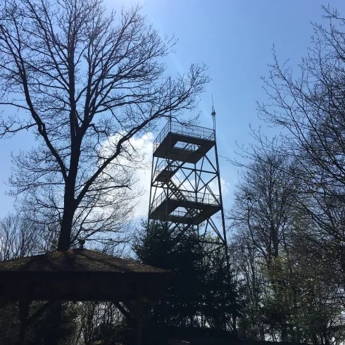Ein Aussichtsturm steht zwischen kahlen Bäumen unter einem klaren blauen Himmel. Der Turm ist aus Metall und hat mehrere Plattformen.