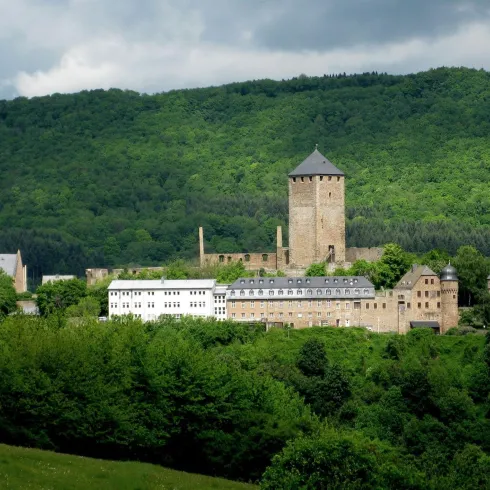 Eine historische Burg umgeben von grünen Hügeln. Der Himmel ist bewölkt und verleiht der Szene eine ruhige Atmosphäre.