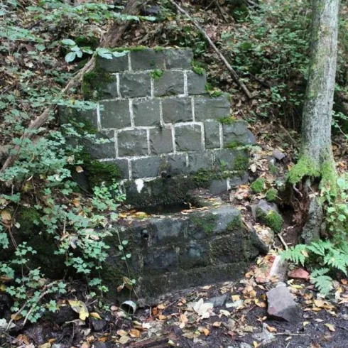 Eine alte, moosbedeckte Mauer aus Steinen im Wald. Umgeben von Bäumen und fallenem Laub.
