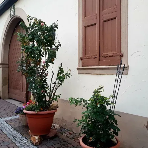 Hausansicht Hausansicht