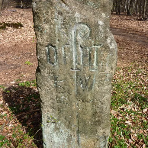 Ein großer Steinaltar mit eingravierten Symbolen steht im Wald. Umgeben von Laub und Bäumen vermittelt er einen historischen Eindruck.