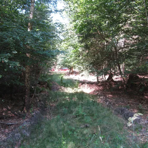 Trekkingplatz Ansicht (© Tourist-Information Otterbach-Otterberg)