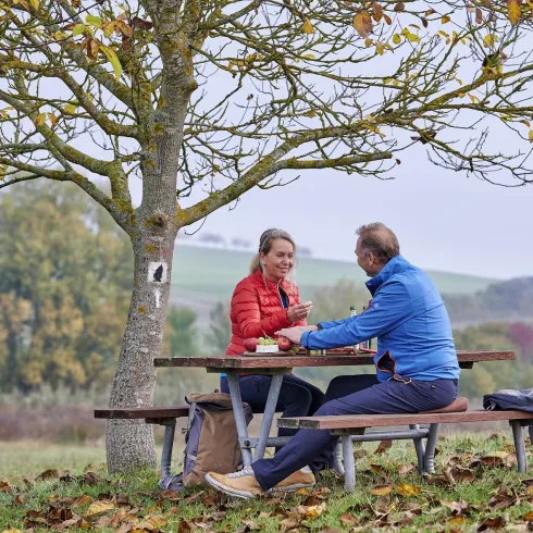 Ein Paar sitzt an einem Picknicktisch unter einem Baum und genießt die Natur. Die Umgebung ist mit herbstlichen Blättern geschmückt.