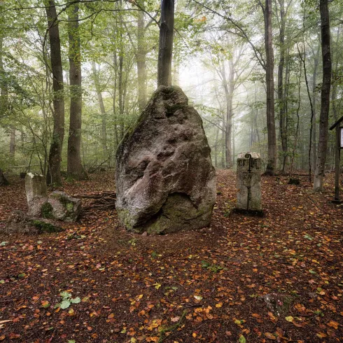Ein mystischer Wald mit einem großen Gesteinsblock und umgestürzten Bäumen. Der Boden ist mit buntem Laub bedeckt, und der Nebel verleiht der Szene eine geheimnisvolle Atmosphäre.