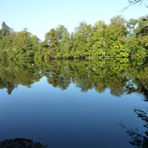 Lanzenbrunnerweiher