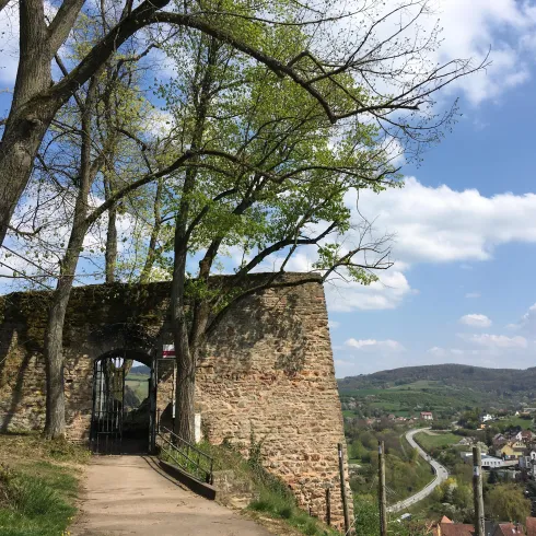 Eine alte Mauer mit einem Tor und grünen Bäumen an einem sonnigen Tag. Im Hintergrund sind sanfte Hügel und ein kleines Dorf sichtbar.