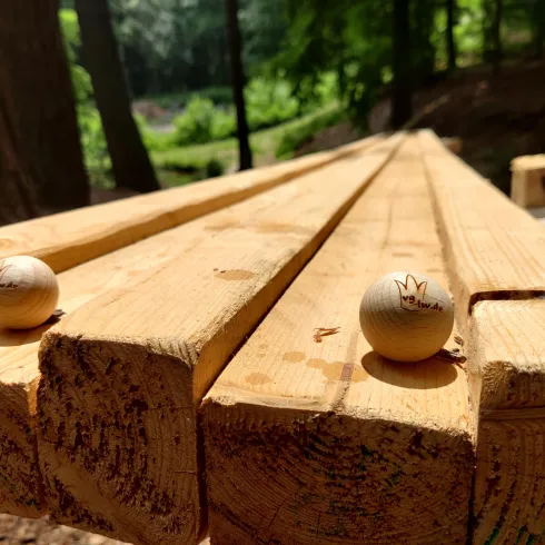 Zwei kleine Holzperlen liegen auf einem langen Holzbrett. Umgeben von Bäumen und natürlichem Licht wirkt die Szene friedlich und ländlich.